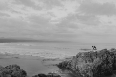 Anja & Florian | Wedding | The Grand Look Out