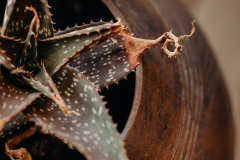 Bukela Game Lodge | Interior Photography
