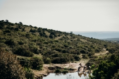 Bukela Game Lodge | Interior Photography