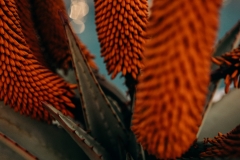 Bukela Game Lodge | Interior Photography