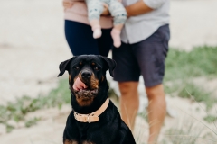 Michelle Brink Garden Route Family Photographer