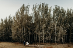 Frannette and Cobus Wedding Makiti Krugersdorp