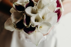 Frannette and Cobus Wedding Makiti Krugersdorp
