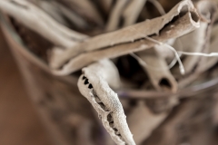 Michelle Brink Garden Route Interior Photographer