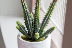 Michelle Brink Garden Route Interior Photographer