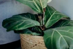 Whale Rock Ridge Property Photography Plettenberg Bay