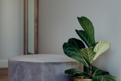 Whale Rock Ridge Property Photography Plettenberg Bay